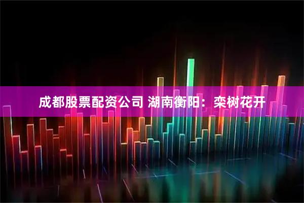成都股票配资公司 湖南衡阳：栾树花开